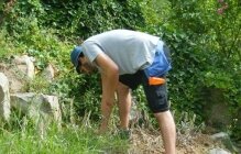 Associació Amics de Jardí Botànic de Barcelona