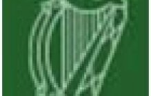 Logo IICE-2013