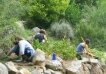 Associació Amics de Jardí Botànic de Barcelona