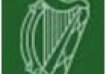 Logo IICE-2013